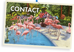Contact